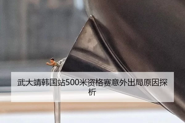 武大靖韩国站500米资格赛意外出局原因探析